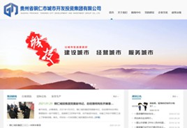 定边城市开发投资集团有限公司