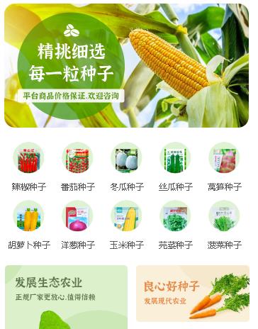 定边农业小程序开发