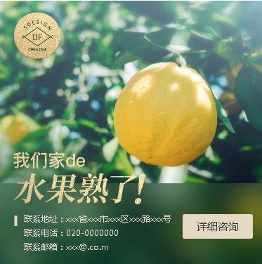 定边果园果林小程序开发